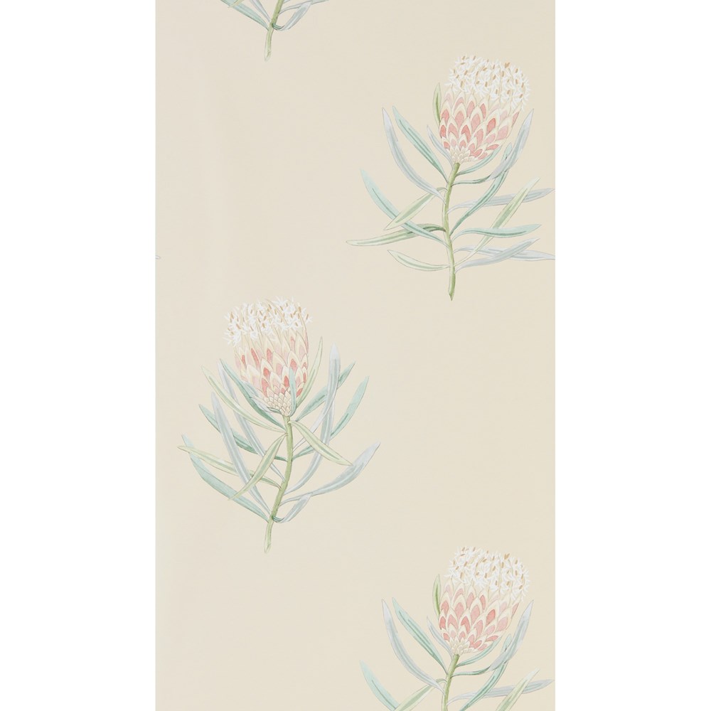 Protea Flower Wallpaper 216329 by Sanderson in Russet Green